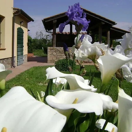 La Toscanella Villa Castagneto Carducci