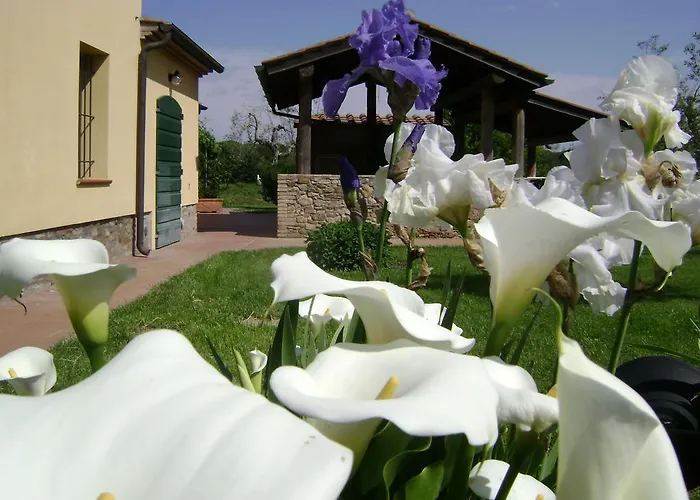 La Toscanella Villa Castagneto Carducci